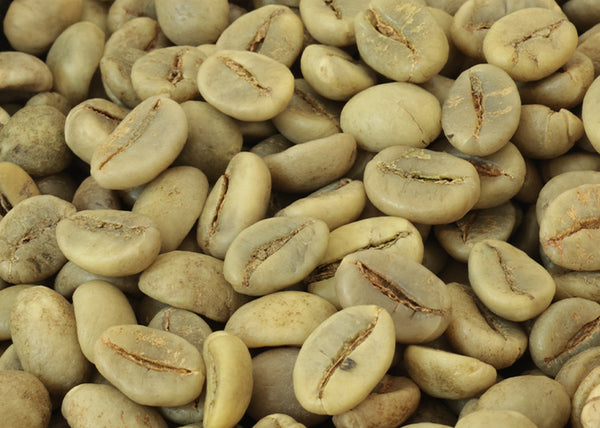 Ethiopia Sidamo Grade 2 Green Coffee Beans 500G