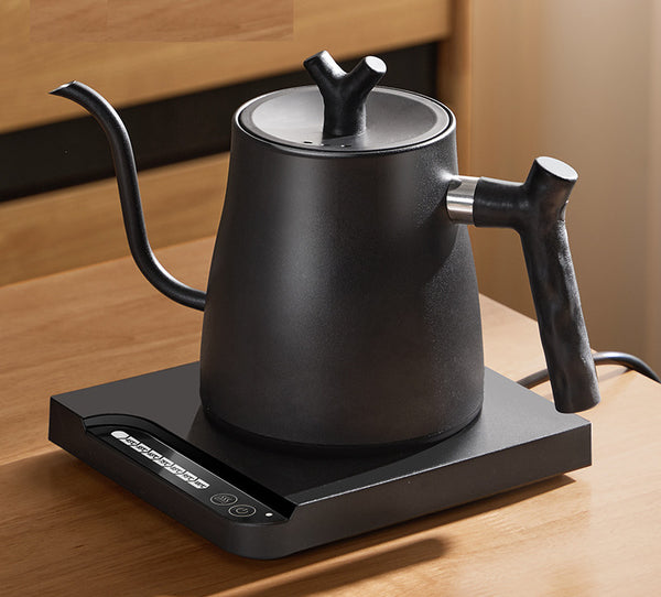 Electric Gooseneck Kettle for Coffee 1000W Temperature Control Black 1L