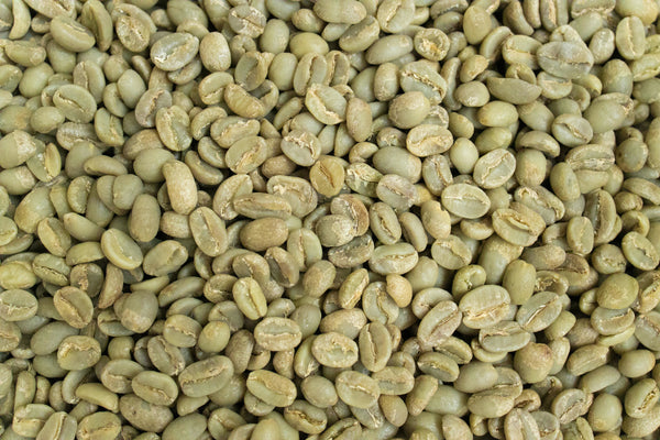 Colombia Medellín Supremo Green Coffee Beans - Unroasted